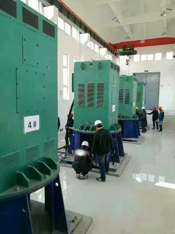 YKK5604-8某污水处理厂使用我厂的立式高压电机安装现场