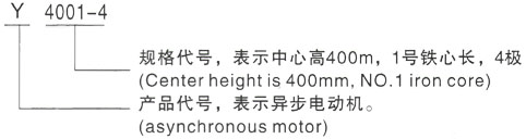 西安泰富西玛Y系列(H355-1000)高压YKK5604-8三相异步电机型号说明